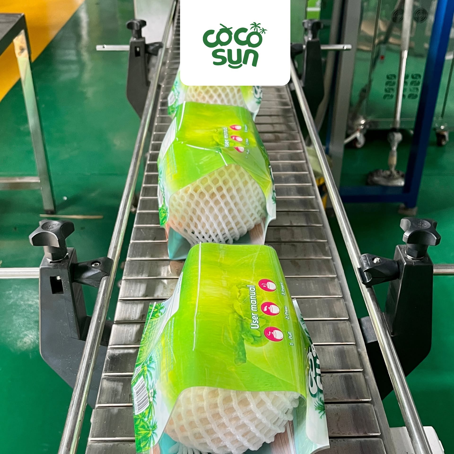 Vietsun Holdings coconut exports